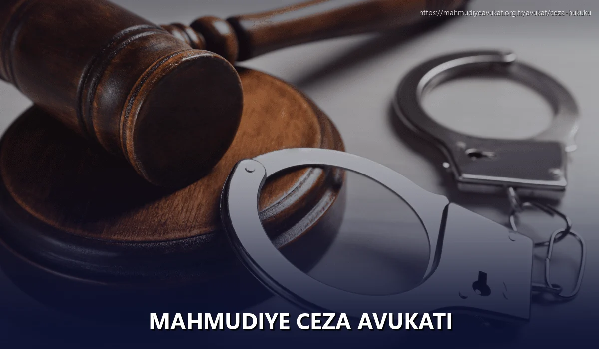 Mahmudiye Ceza Avukatı